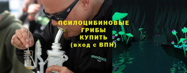 ПСИЛОЦИБИНОВЫЕ ГРИБЫ Беломорск
