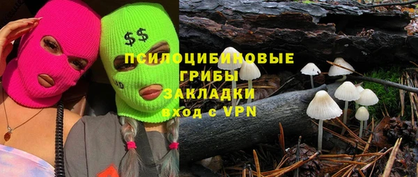 таблы Белокуриха
